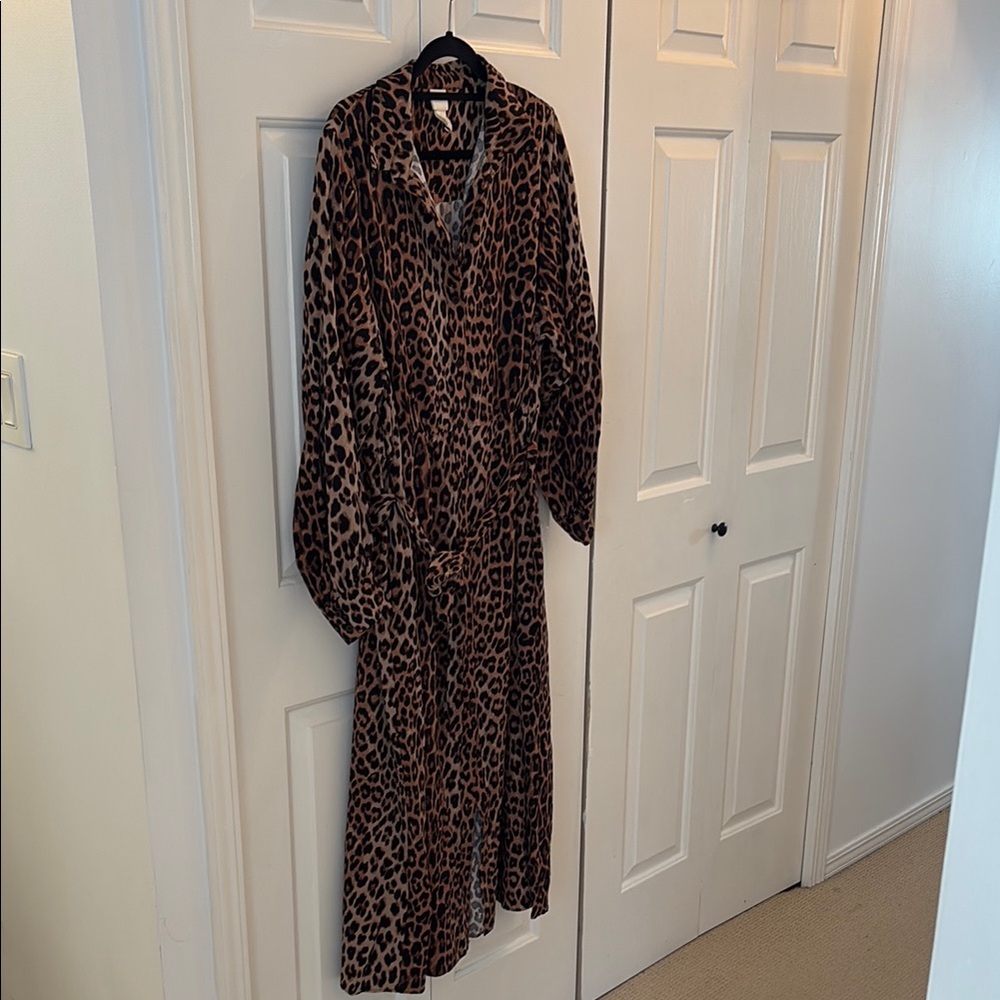 H&M Leopard Print Maxi Dress